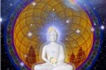 Phần 18: Những hạt ngọc trí tuệ Phật giáo  (Thích Tâm Quang)
